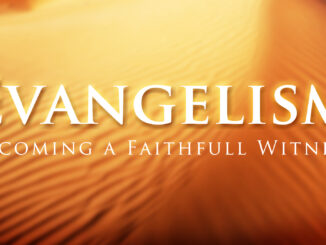 Faithful Witness