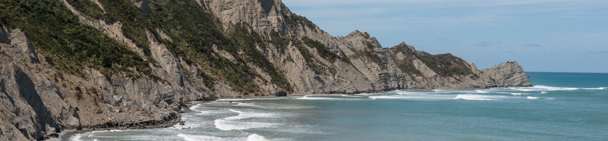 Reach NZ