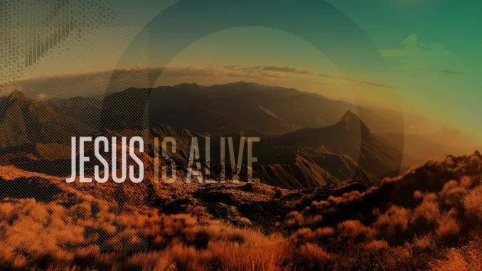 Alive Church