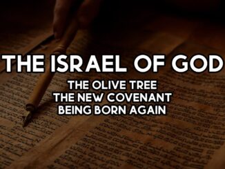 New Covenant Israel