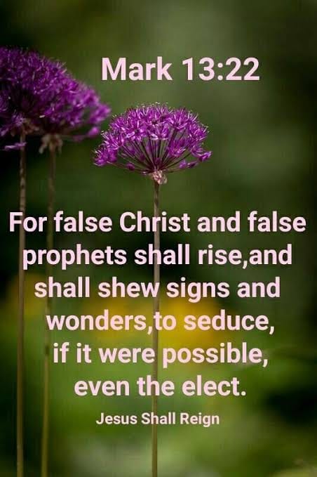 False Christ's