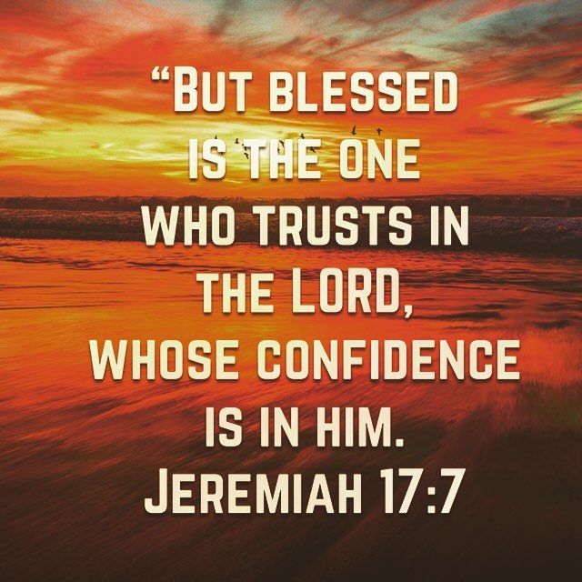 When believers truly trust that God is sovereign over creation, they are released from the burden of trying to fix the world through fear-driven activism.