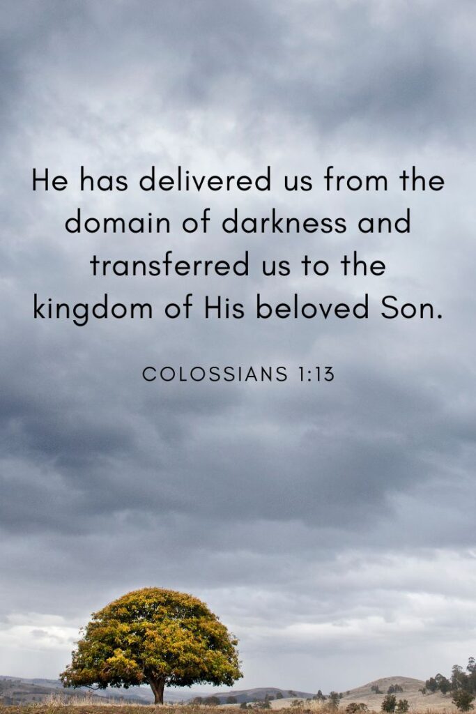 Colossians 1:13
*“He has delivered us from the power of darkness and conveyed us into the kingdom of the Son of His love.”
