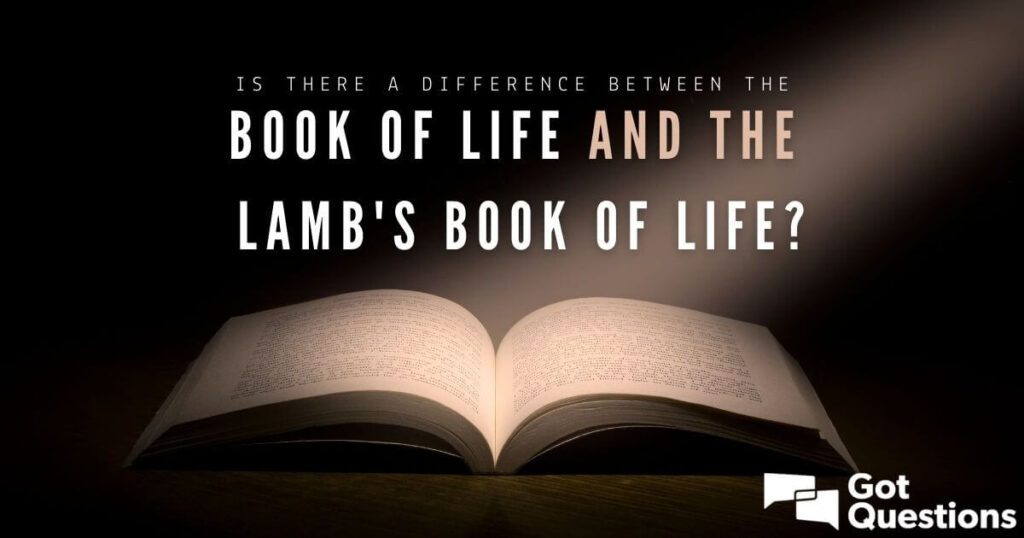 Many people comfort themselves with the idea: “God wouldn’t judge me. I’m a good person.”
The Bible directly confronts that assumption — and it does so by speaking of two books, not one.