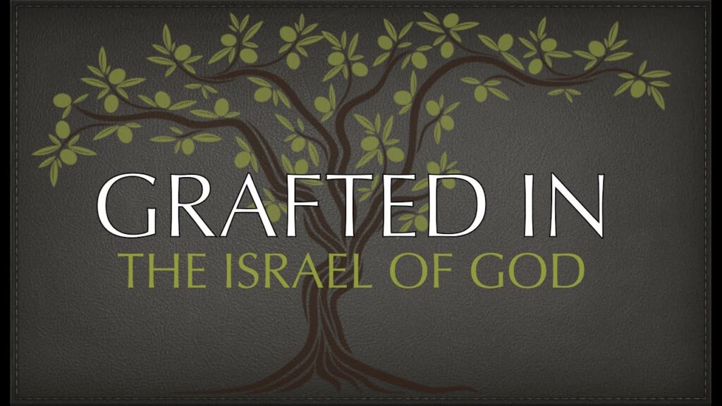 Furthermore, this new birth grafts you into the House of Israel as part of God's covenant people. In Romans 11:17-24, Paul uses the metaphor of an olive tree to explain this profound union. 
