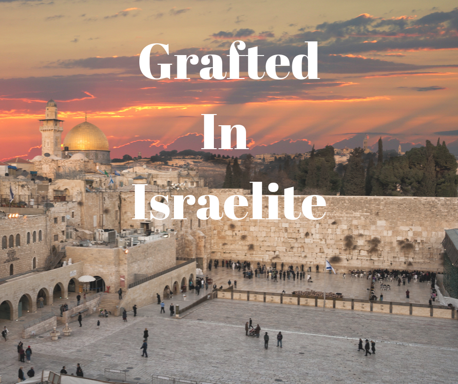 Both Jews and Gentiles enter this covenant body the same way — through faith in Christ and the new birth.

Unbelieving Jewish branches were broken off because of unbelief, but: