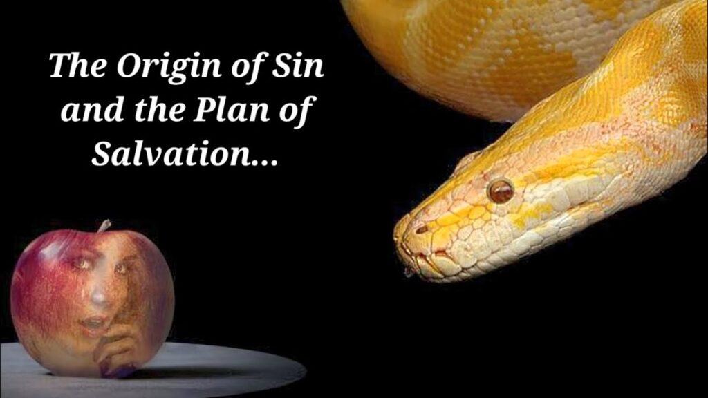 To understand our new identity, we must first look back to humanity's beginning. God created mankind perfect, in His own image (Genesis 1:26-27). This included giving us free will—the ability to choose. 